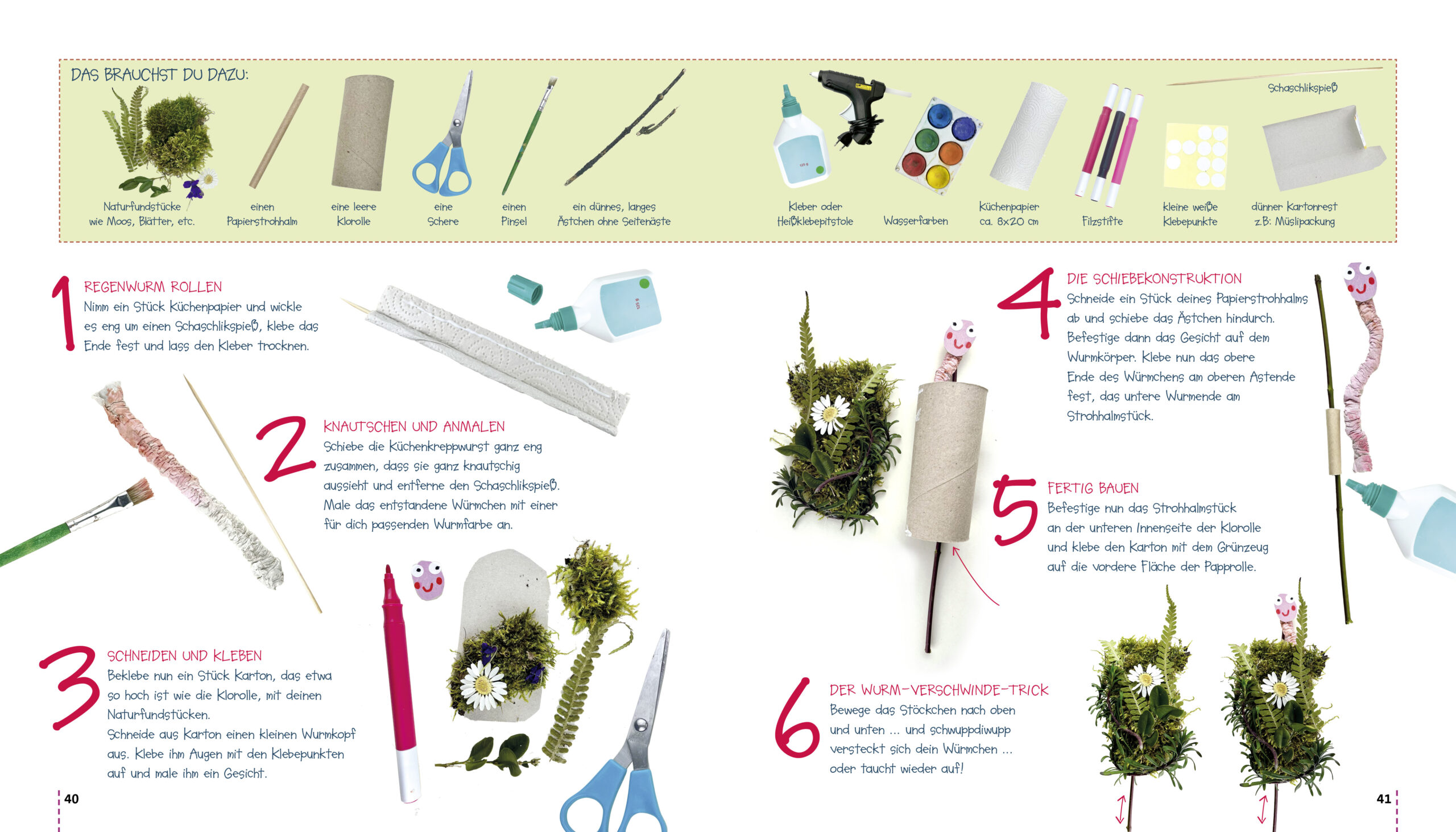 Gecko Starterpack – Bild 13