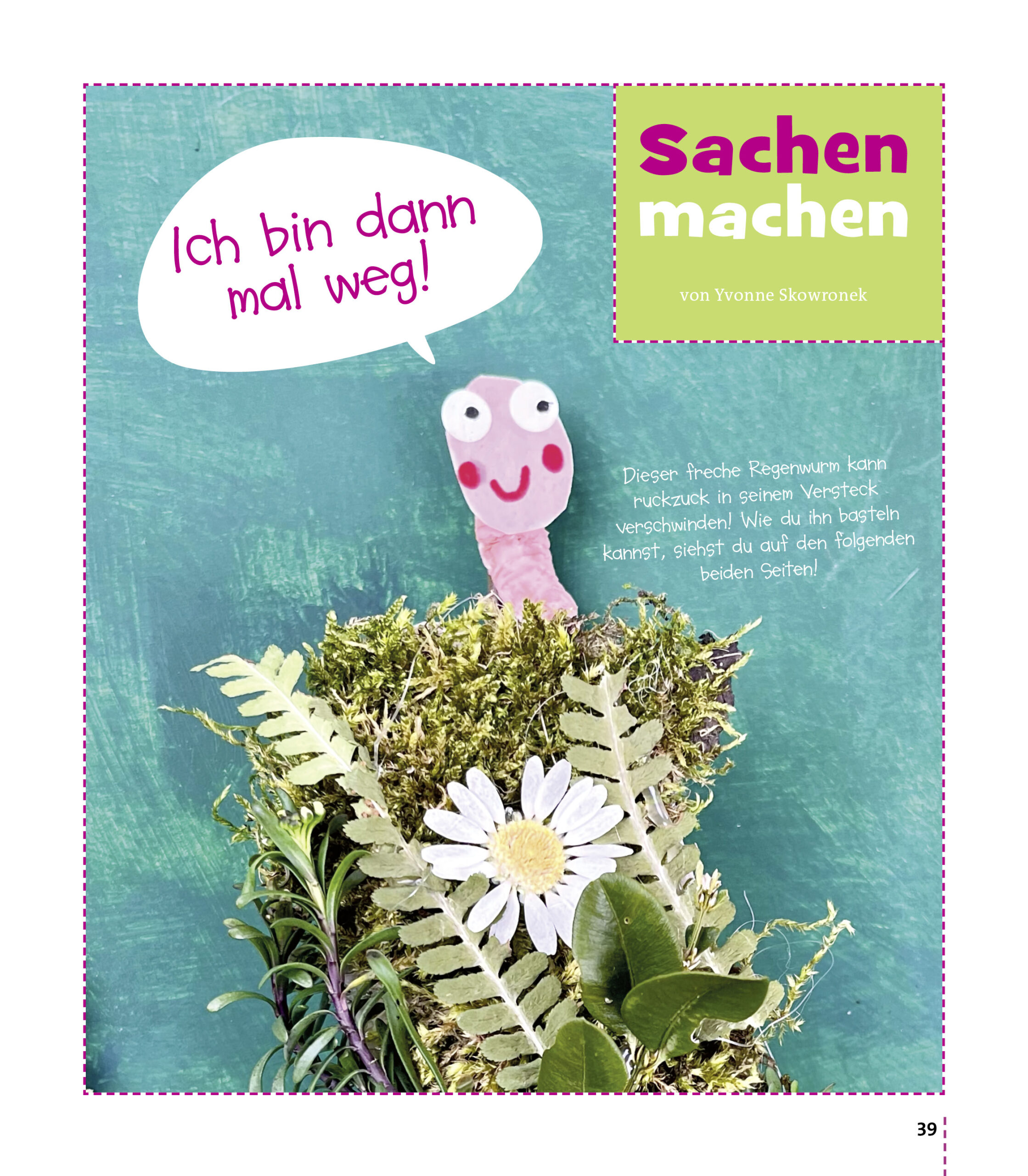 Gecko Starterpack – Bild 11