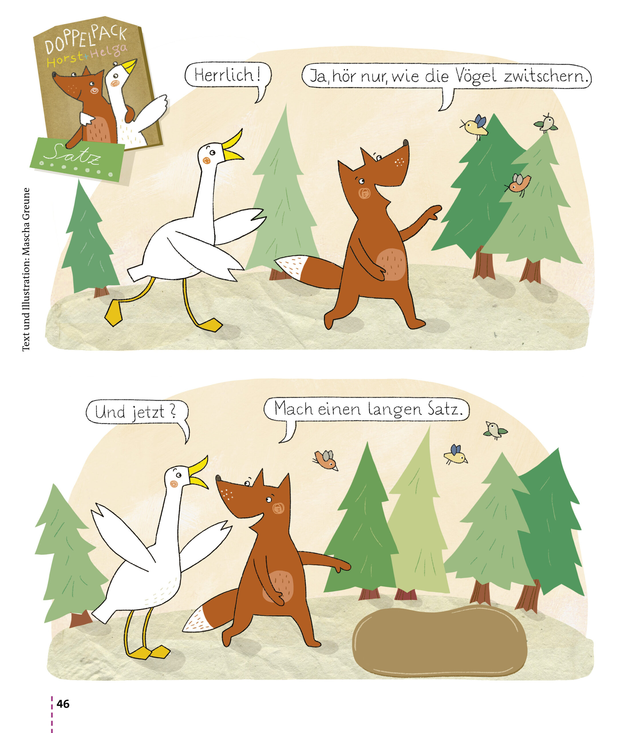 Gecko Starterpack – Bild 10